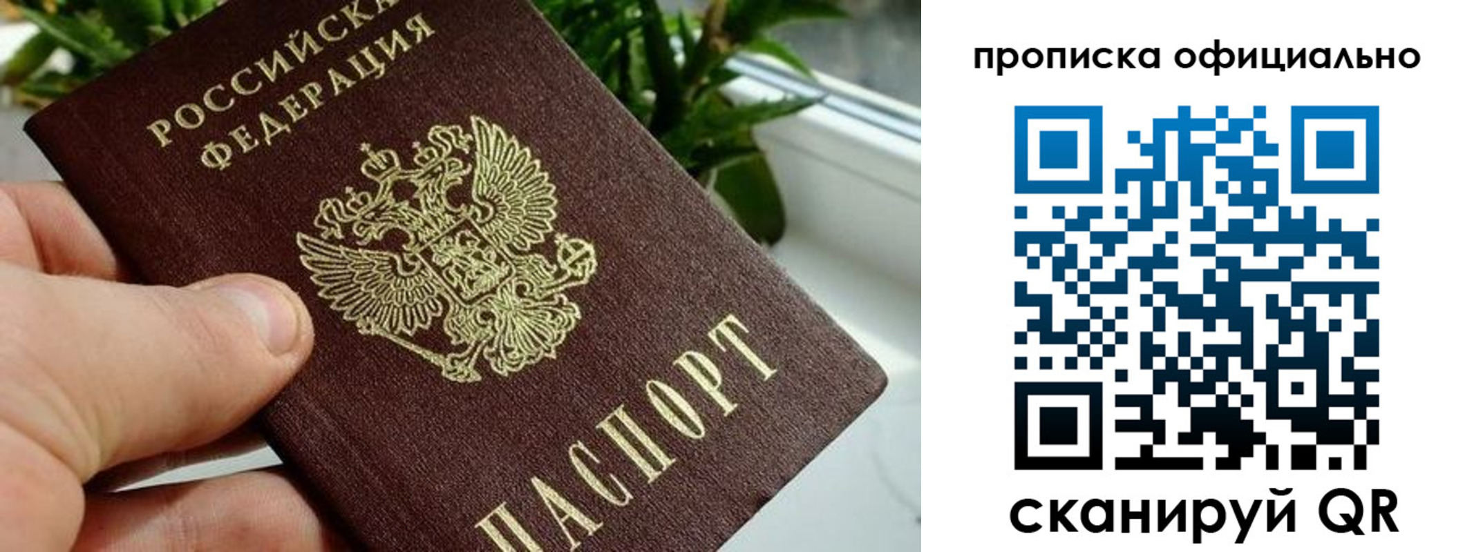 прописка поиск в Сосновоборске